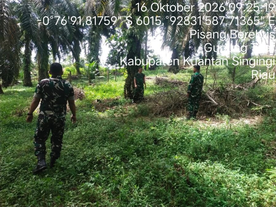 Cegah Karhutla, Babinsa Koramil 08/KM Gelar Patroli di Lahan Rawan Kebakaran
