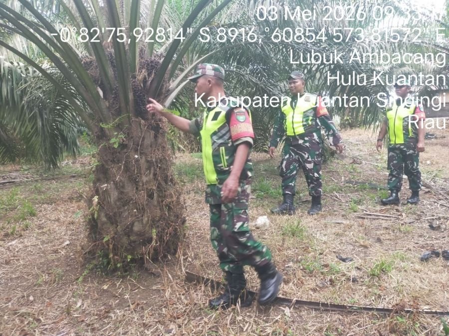 Cegah Karhutla, Babinsa Koramil 08/KM Gelar Patroli Lahan Rawan Kebakaran