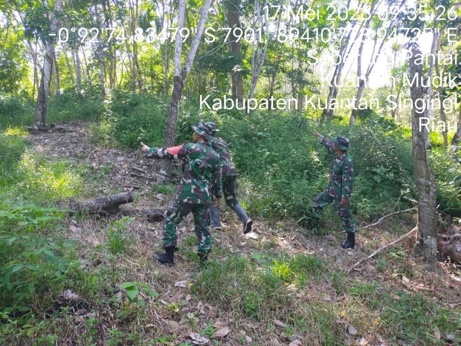 Cegah Karhutla, Babinsa Koramil 08/KM Gelar Patroli Lahan Rawan Kebakaran
