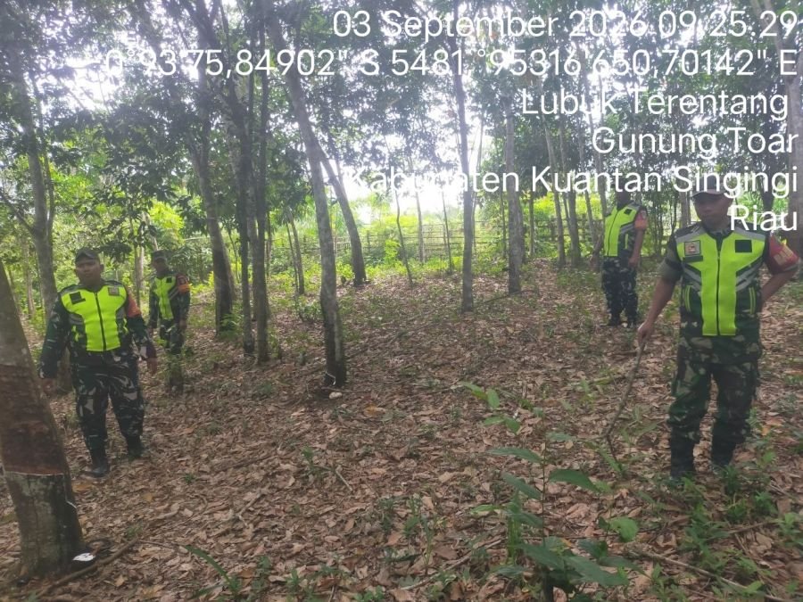 Cegah Karhutla, Babinsa Koramil 08/KM Gelar Patroli di Lahan Rawan Kebakaran