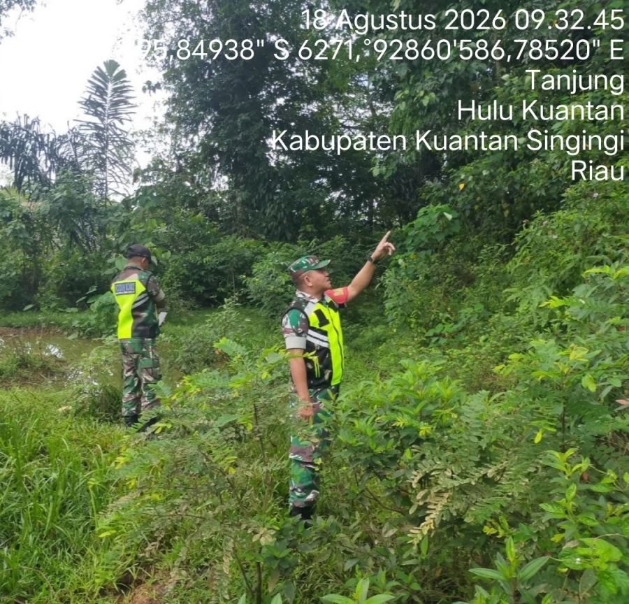 Cegah Karhutla, Babinsa Koramil 08/KM Gelar Patroli di Lahan Rawan Kebakaran