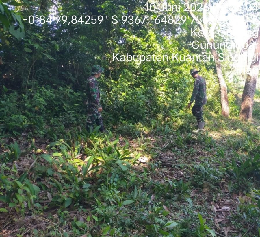 Cegah Karhutla, Babinsa Koramil 08/KM Gelar Patroli Lahan Rawan Kebakaran