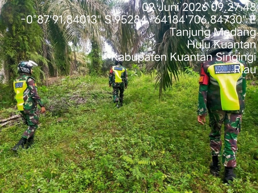 Cegah Karhutla, Babinsa Koramil 08/KM Gelar Patroli Lahan Rawan Kebakaran