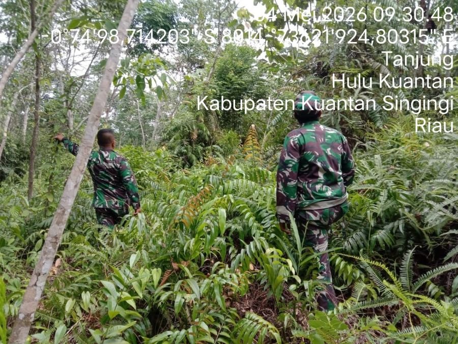 Cegah Karhutla, Babinsa Koramil 08/KM Gelar Patroli Lahan Rawan Kebakaran
