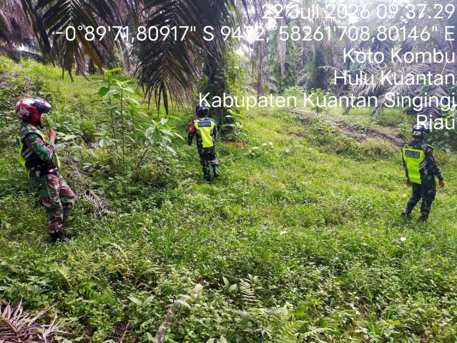 Cegah Karhutla, Babinsa Koramil 08/KM Gelar Patroli di Lahan Rawan Kebakaran
