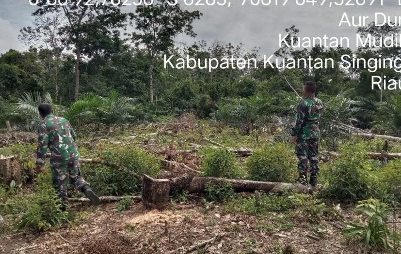 Cegah Karhutla, Babinsa Koramil 08/KM Gelar Patroli Lahan Rawan Kebakaran