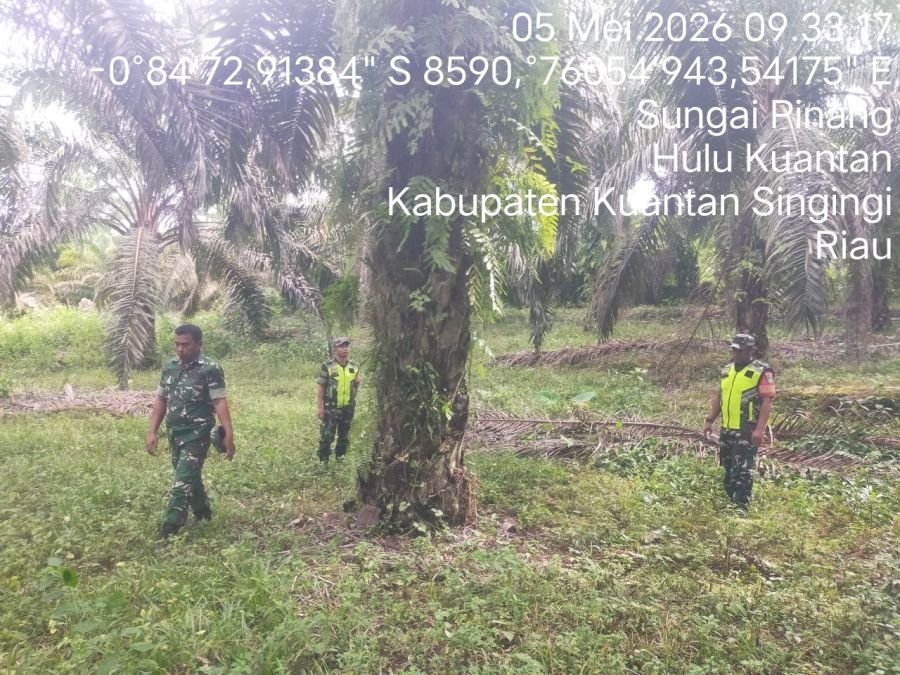 Cegah Karhutla, Babinsa Koramil 08/KM Gelar Patroli Lahan Rawan Kebakaran