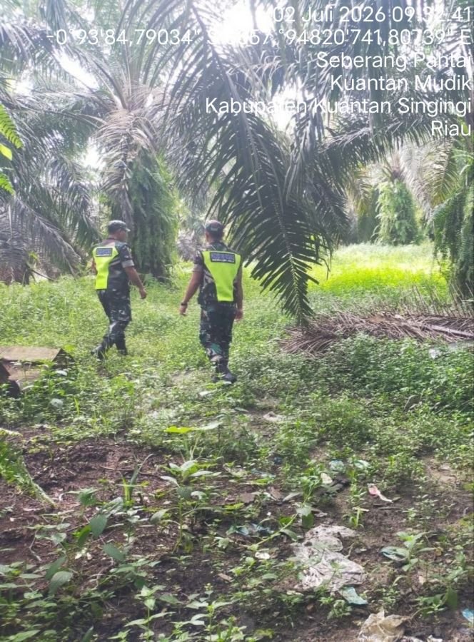 Cegah Karhutla, Babinsa Koramil 08/KM Gelar Patroli di Lahan Rawan Kebakaran