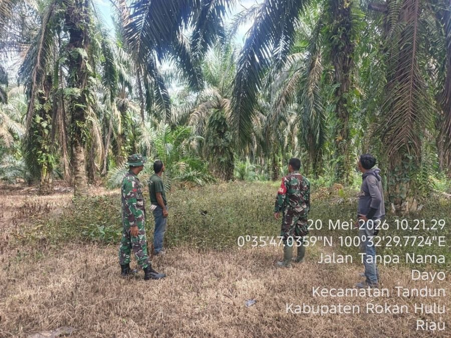 Cegah Karhutla, Babinsa Koramil 08/Tandun Edukasi Warga Bahaya Bakar Lahan