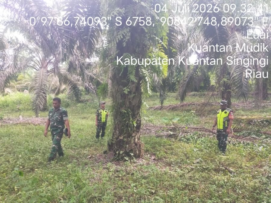 Cegah Karhutla, Babinsa Koramil 08/KM Intensifkan Patroli di Desa Luai