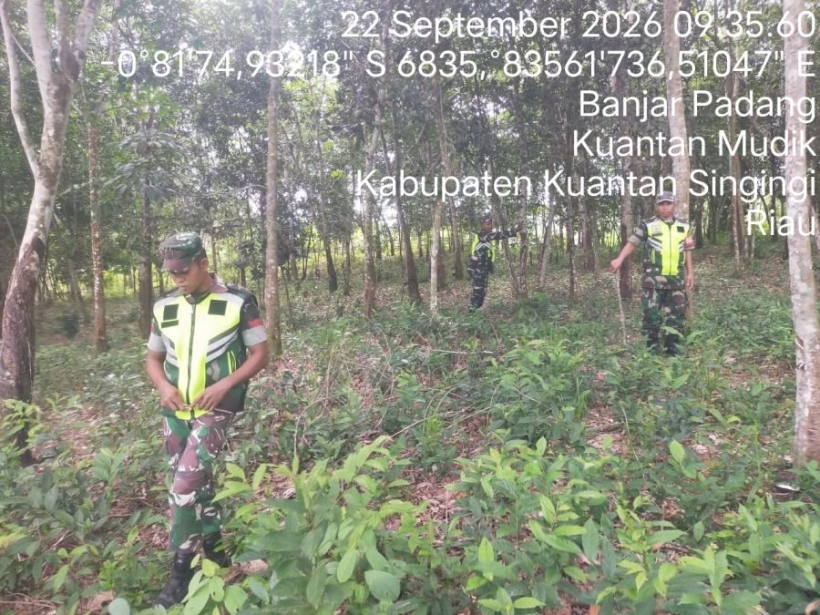 Cegah Karhutla, Babinsa Koramil 08/KM Gelar Patroli Lahan Rawan Kebakaran