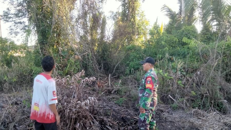 Cegah Karhutla, Babinsa Koramil 10/Pelangiran Intensifkan Patroli Tapal Batas di Wilayah Binaan