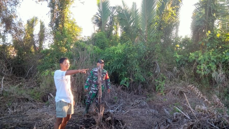 Cegah Karhutla, Babinsa Koramil 10/Pelangiran Patroli Tapal Batas Pastikan Wilayah Bebas Titik Api