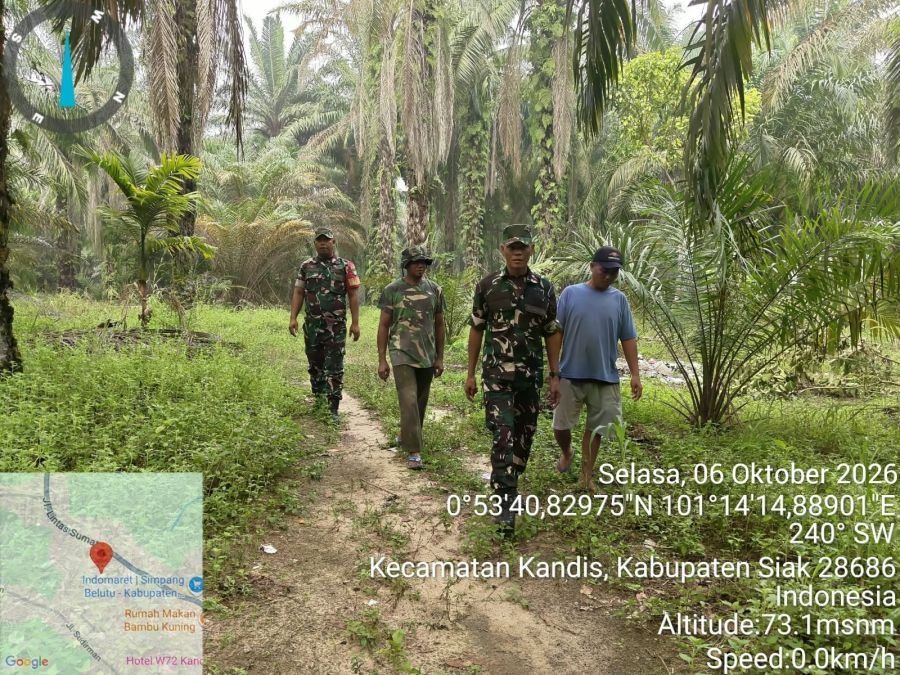 Cegah Karhutla, Babinsa Koramil Kandis Sisir Wilayah Simpang Belutu