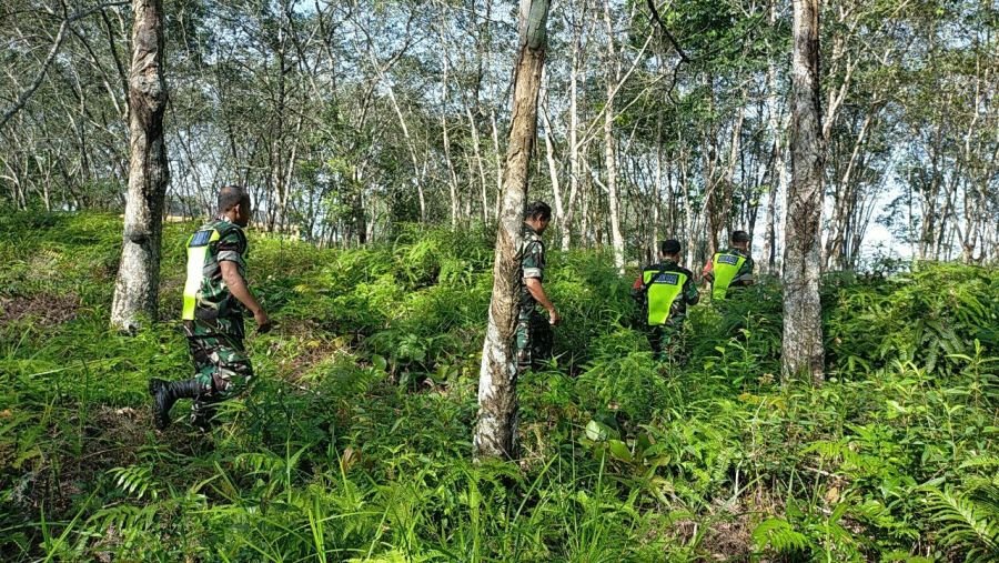 Cegah Karhutla, Babinsa Kuantan Tengah Sisir Wilayah Rawan Kebakaran