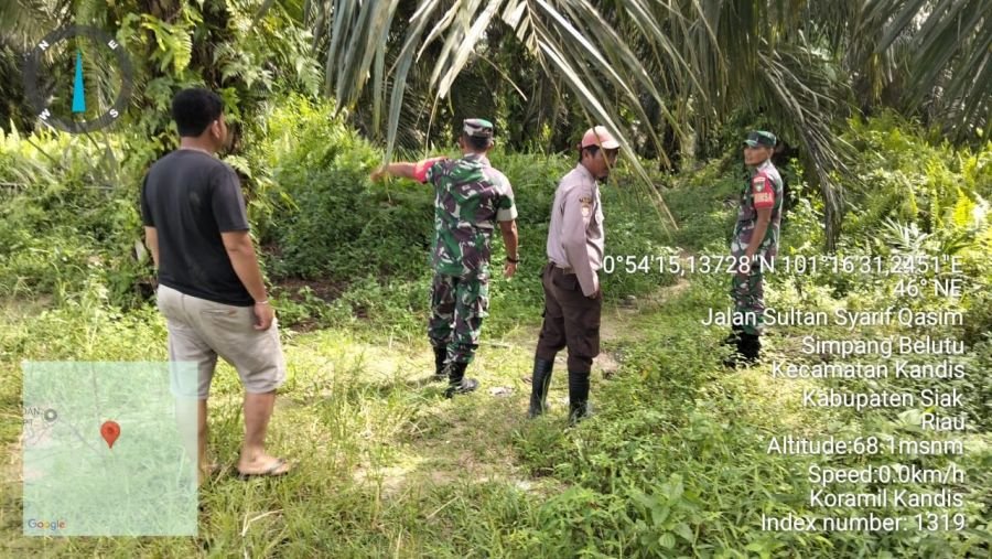 Cegah Karhutla, Babinsa Perketat Pemantauan Wilayah Simpang Belutu