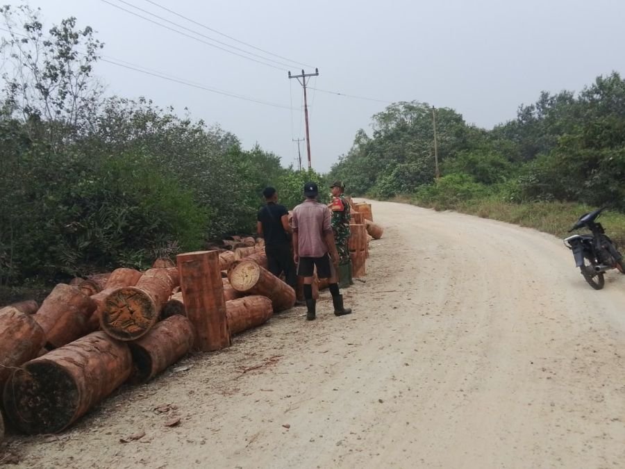 Cegah Karhutla, Babinsa Repan Ingatkan Petani Sagu Tidak Membakar Lahan