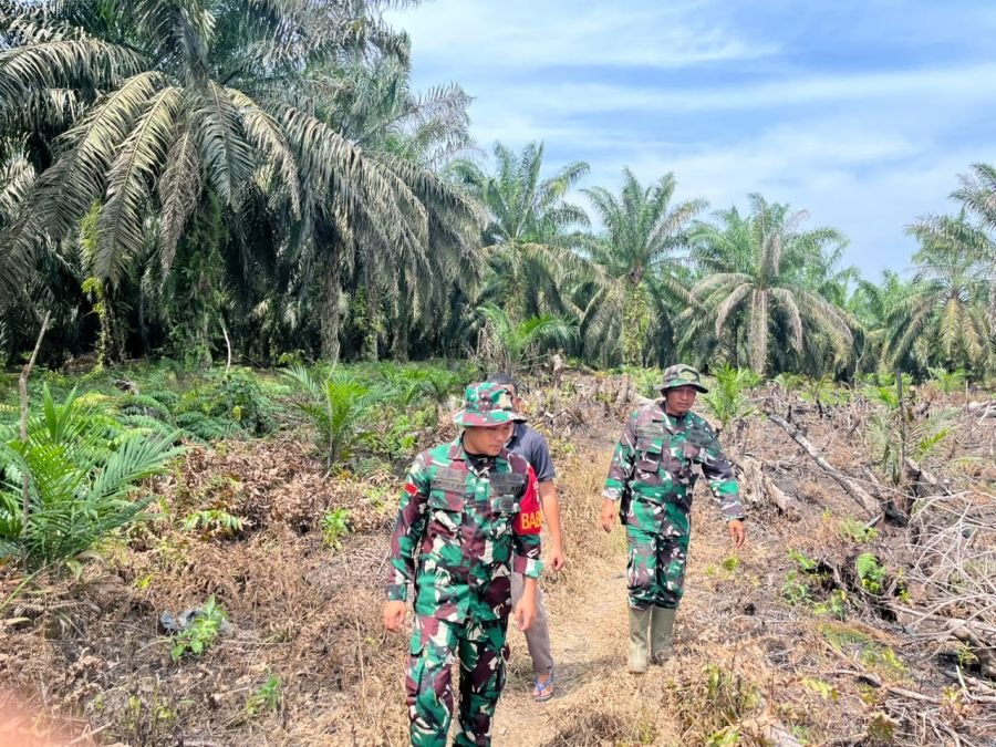 Cegah Karhutla, Babinsa Serda Dedi Saputra Sisir Kebun Warga di Rokan Hulu