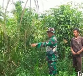 Cegah Karhutla, Babinsa Sisir Tapal Batas Pelangiran Tanpa Temuan Api