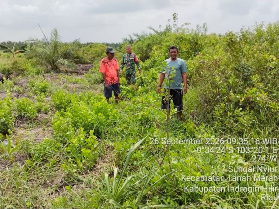 Cegah Karhutla, Babinsa Sungai Nyiur Patroli Tapal Batas di Koordinat -0°34'28