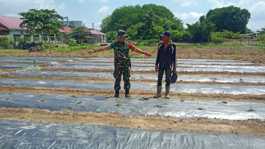 Cegah Karhutla dan Antisipasi Banjir, Babinsa Buluh Kasap Ajak Warga Jaga Lingkungan Sambil Dampingi