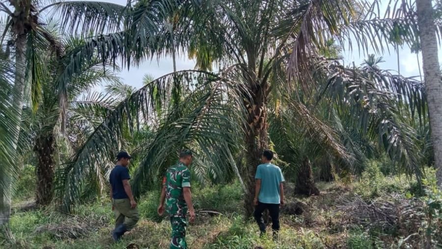 Cegah Karhutla dan Jaga Wilayah, Babinsa Koramil 07/Reteh Patroli Tapal Batas di Desa Pasanggerahan