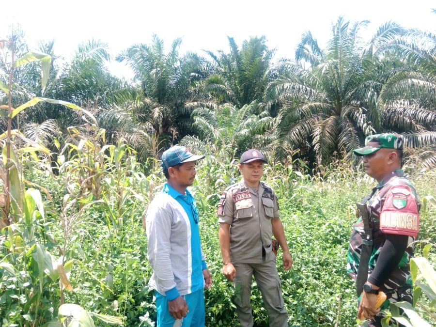 Cegah Karhutla di Tengah Kemarau Panjang, Sertu Ramadhan Sisir Tapal Batas Kemuning