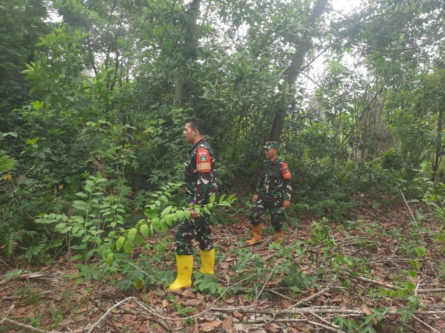 Cegah Karhutla Dini, Serda M Fikri dan Kopda Alif Alpindo Patroli di Pematang Pudu