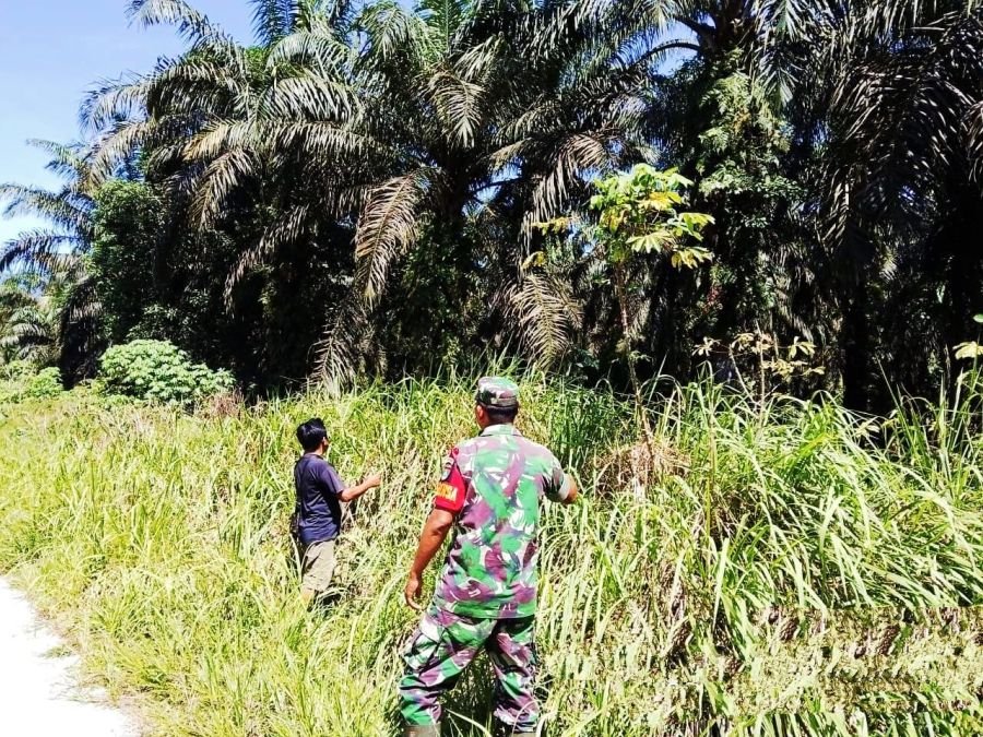 Cegah Karhutla, Koptu Jantri Istani: Setiap kegiatan yang Melibatkan Api perlu Dilakukan Secara Hati