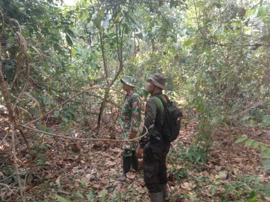 Cegah Karhutla, Koptu Zainur Rohman Patroli Kawasan Hutan Rupat