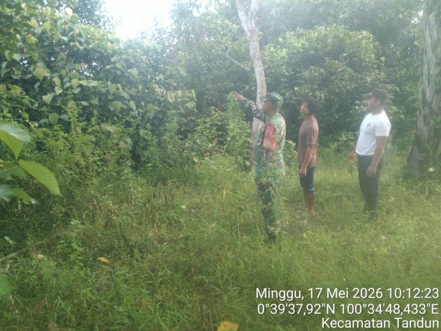 Cegah Karhutla, Koramil 08/TDN Gencarkan Patroli dan Sosialisasi di Tandun Barat
