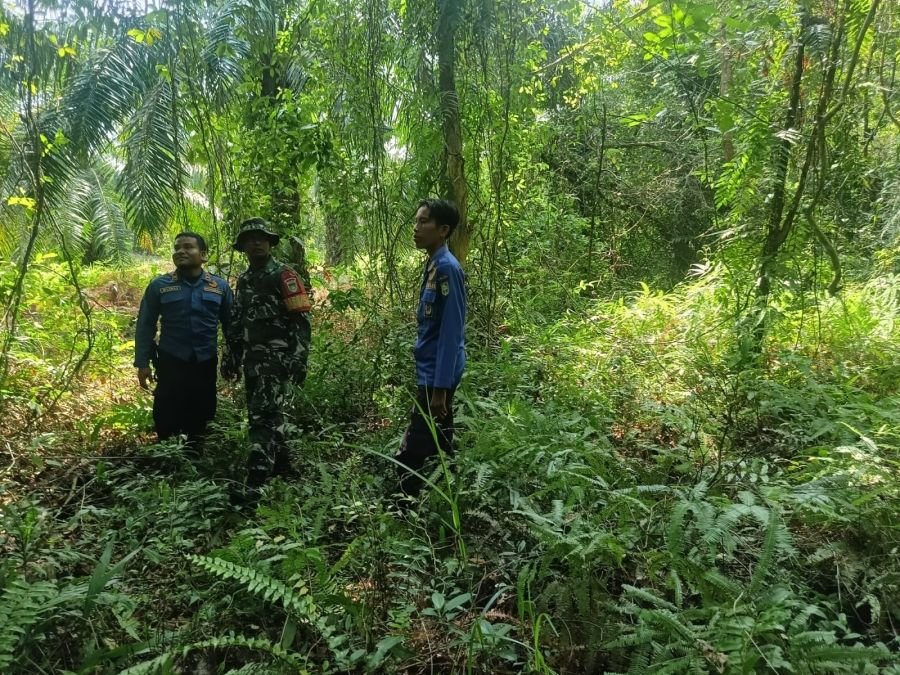 Cegah Karhutla Meluas, Babinsa Sisir Kawasan Hutan Pangkalan Nyirih