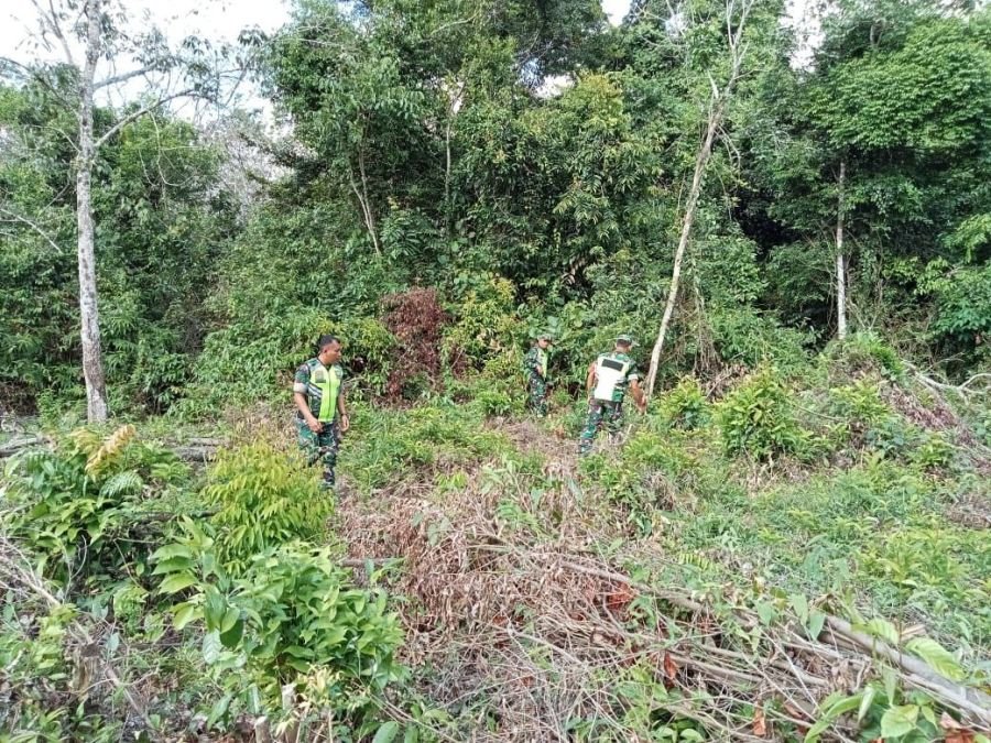 Cegah Karhutla Meluas, Babinsa Sisir Wilayah Beringin Taluk