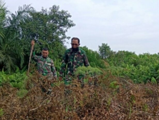 Cegah Karhutla, Personel Koramil 01/Bangko Intensifkan Patroli di Labuhan Tangga Besar