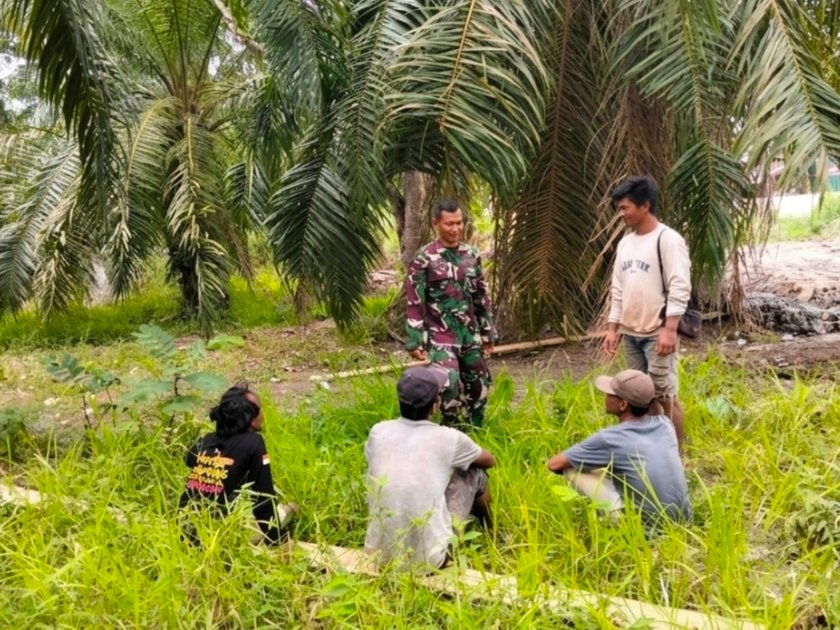 Cegah Karhutla, Personel Koramil 01/Bangko Sisir Lahan Perkebunan Sungai Bakau