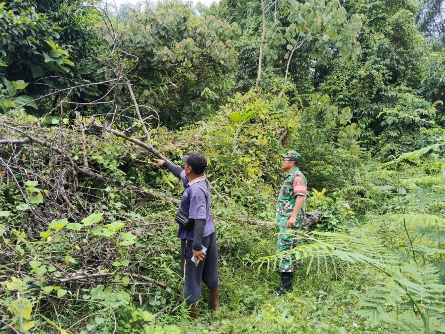 Cegah Karhutla Sebelum Membesar, Serma Ucok Bersama MPA Sisir Jalan Padat Karya, Hasilnya Nihil Titi