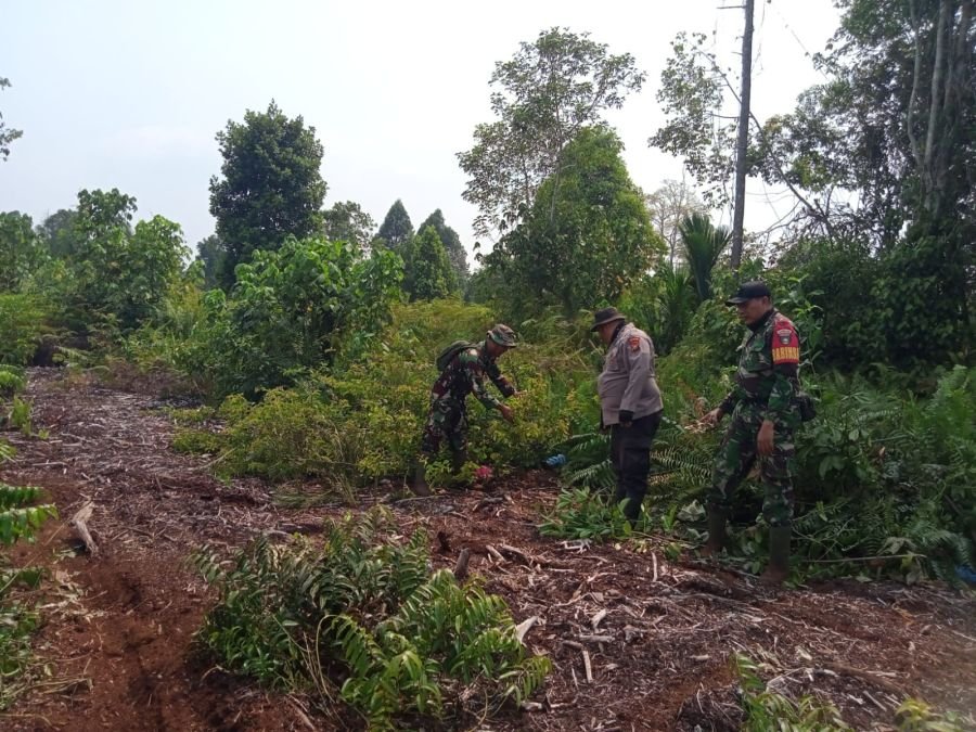 Cegah Karhutla Sejak Dini, Babinsa Koramil 02/Tebing Tinggi Bersama Warga Patroli di Tanjung Samak