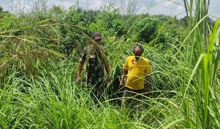 Cegah Karhutla Sejak Dini, Babinsa Koramil 04/Lph Bersama MPA Lakukan Patroli Terpadu di Kawasan Dan