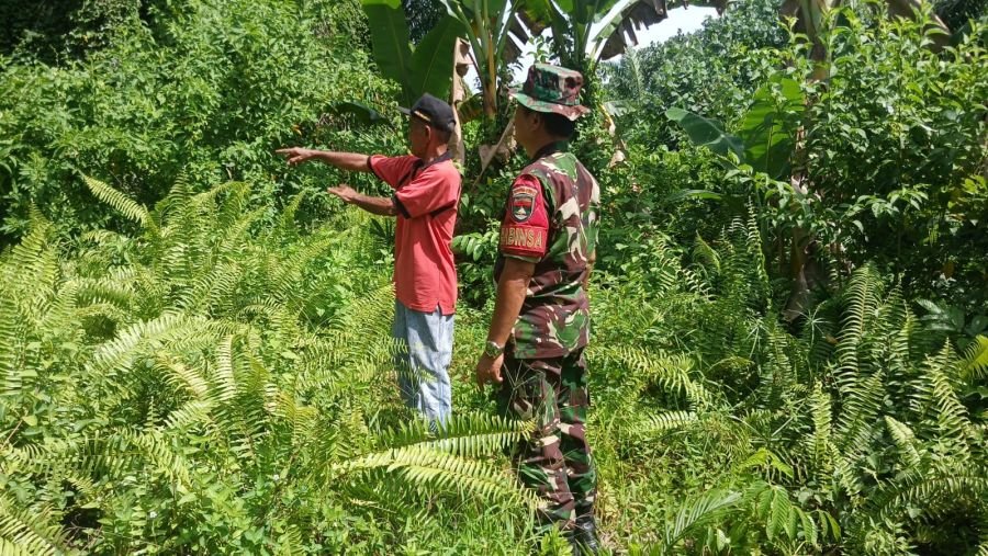 Cegah Karhutla Sejak Dini, Babinsa Meranti Pandak Intensifkan Komsos dengan Masyarakat