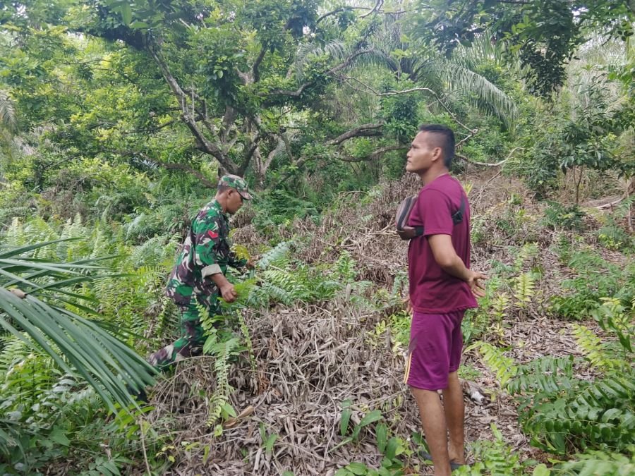 Cegah Karhutla Sejak Dini, Babinsa Turun Langsung Bersama Warga