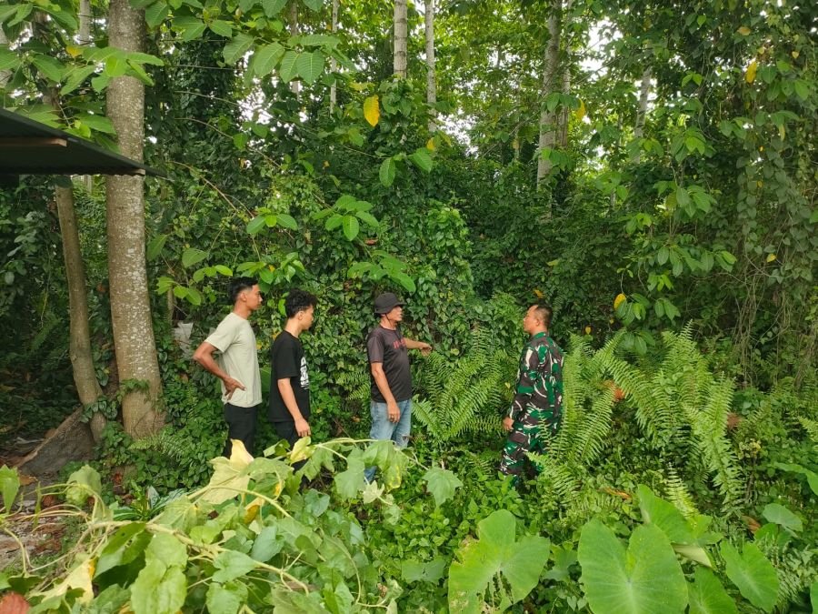 Cegah Karhutla Sejak Dini, Babinsa Tanjung Rhu Gencarkan Patroli dan Edukasi Masyarakat