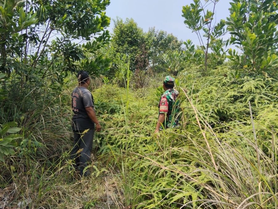 Cegah Karhutla Sejak Dini, Babinsa dan MPA Pantau Wilayah Tebing Tinggi Okura