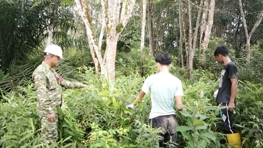 Cegah Karhutla Sejak Dini, Babinsa dan Masyarakat Bersinergi Jaga Desa Temiang