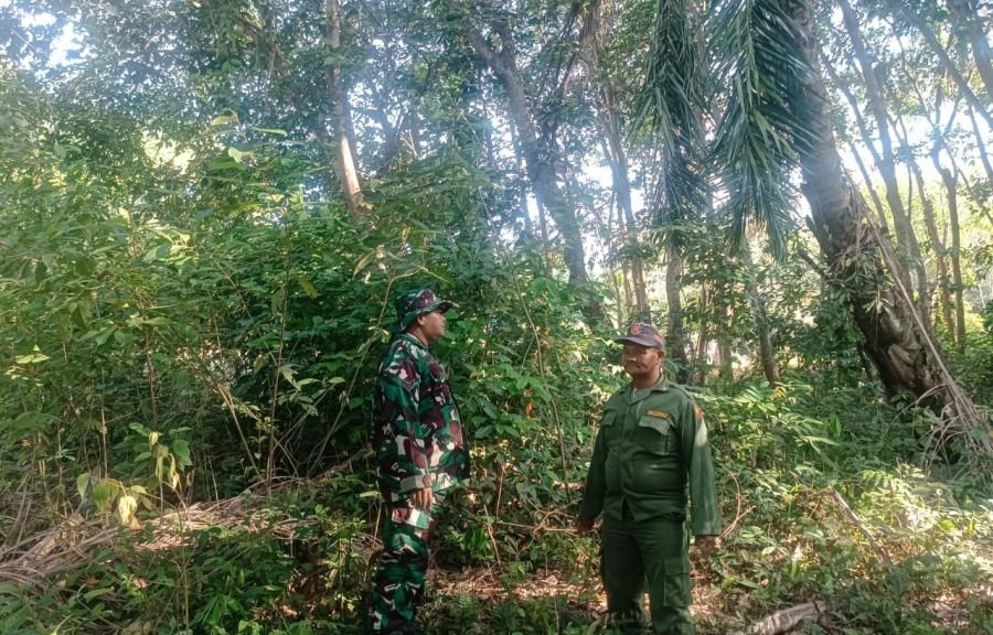 Cegah Karhutla Terulang, Babinsa dan Linmas Sisir Lahan Bekas Kebakaran