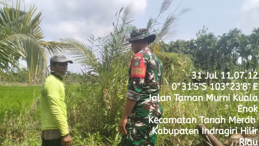 Cegah Karhutla, TNI Bersama Warga Sisiri Kelurahan Kuala Enok
