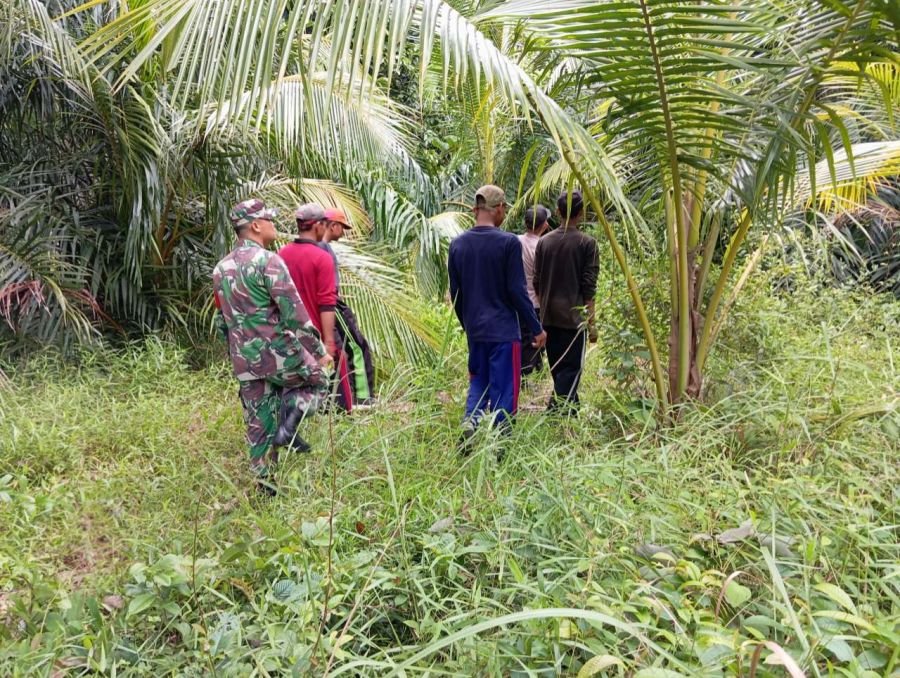 Cegah Kebakaran Hutan, Babinsa Koramil 05 Bukit Batu Intensifkan Patroli