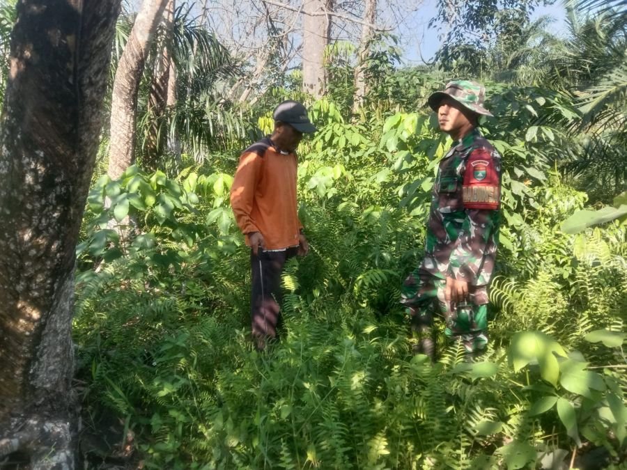 Cegah Kebakaran Hutan dan Lahan, Babinsa Intensifkan Patroli Karhutla