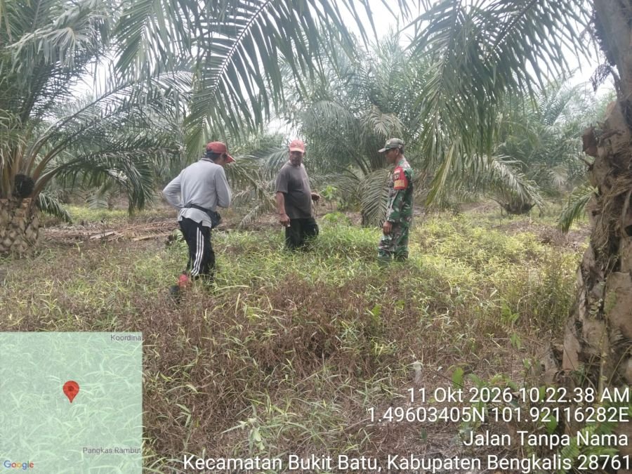 Babinsa Bengkalis Patroli Karhutla di Sepahat, Warga Diimbau Tak Bakar Lahan
