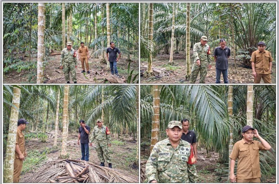Cegah Kebakaran Hutan dan Lahan, Babinsa Koramil 01/Bengkalis Laksanakan Patroli Karhutla di Desa Be