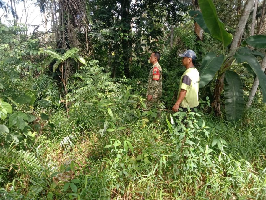 Cegah Kebakaran Hutan Dan Lahan Babinsa Tingkatkan Patroli Di Wilayah Binaan